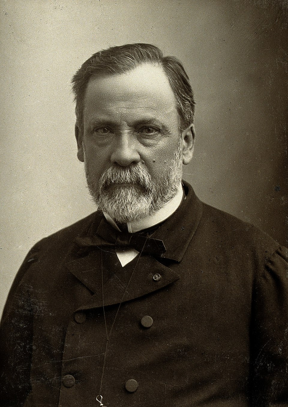 Pasteurisation